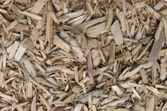 biomass boilers Bulphan